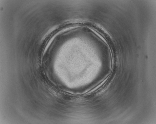 X0000074281213200609151843