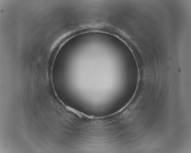 X0000074281214200609151843