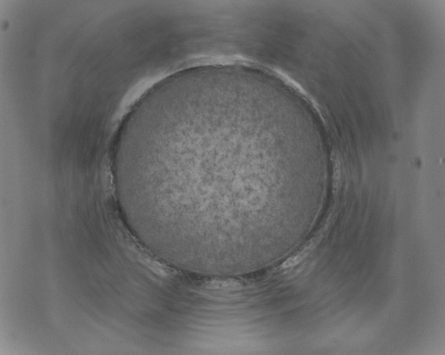 X0000074281215200609151843