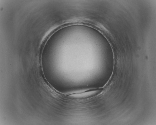 X0000074281216200609151843