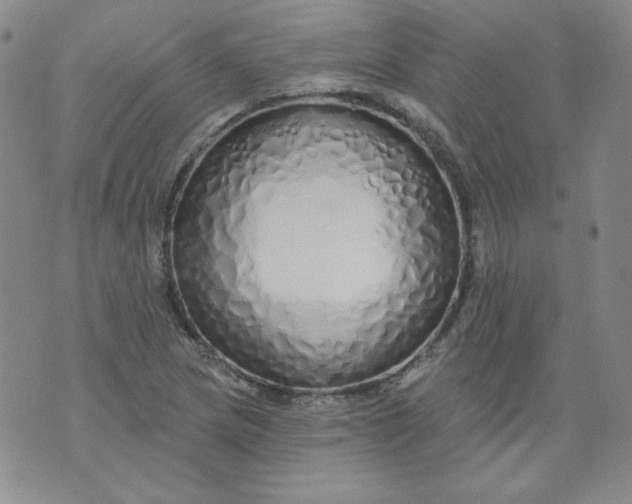 X0000074281217200609151843