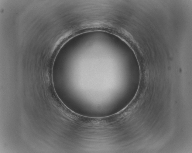 X0000074281218200609151843