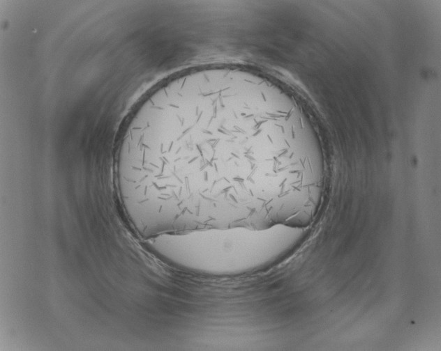 X0000074281220200609151843