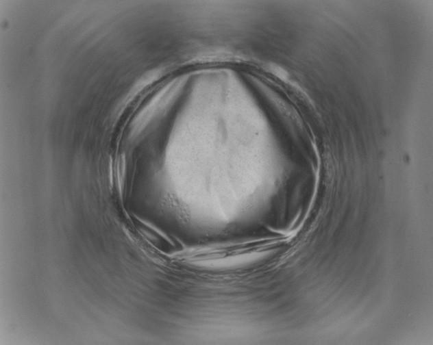 X0000074281221200609151843