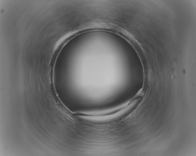 X0000074281222200609151843