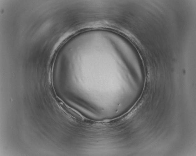 X0000074281224200609151843