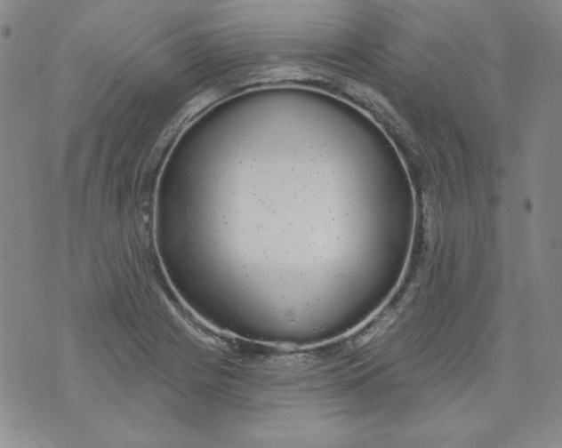 X0000074281225200609151843