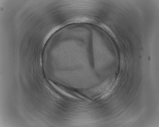 X0000074281226200609151843