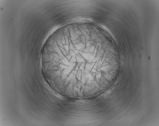 X0000074281227200609151843