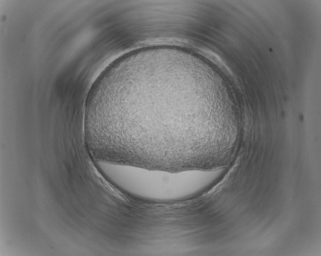 X0000074281228200609151843