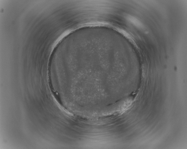 X0000074281229200609151844