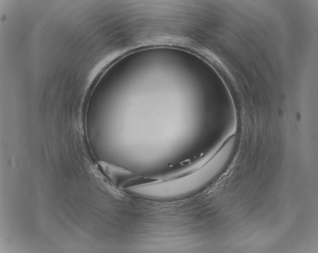 X0000074281230200609151844