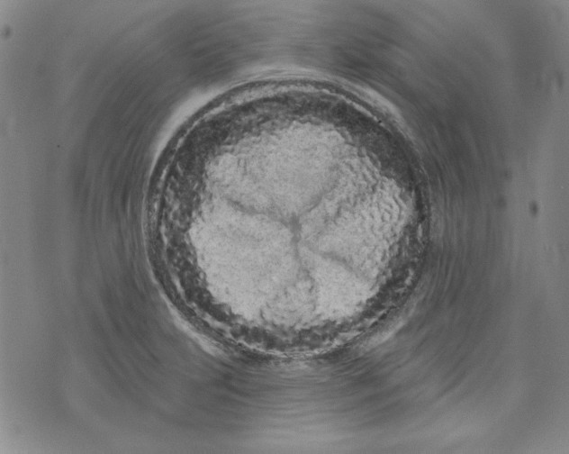 X0000074281231200609151844