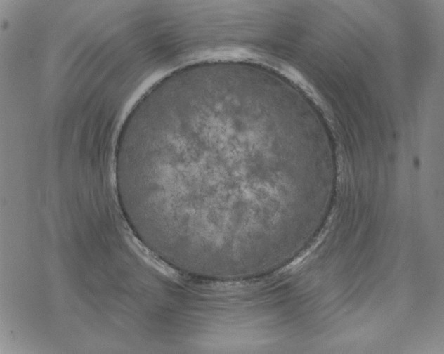 X0000074281232200609151844