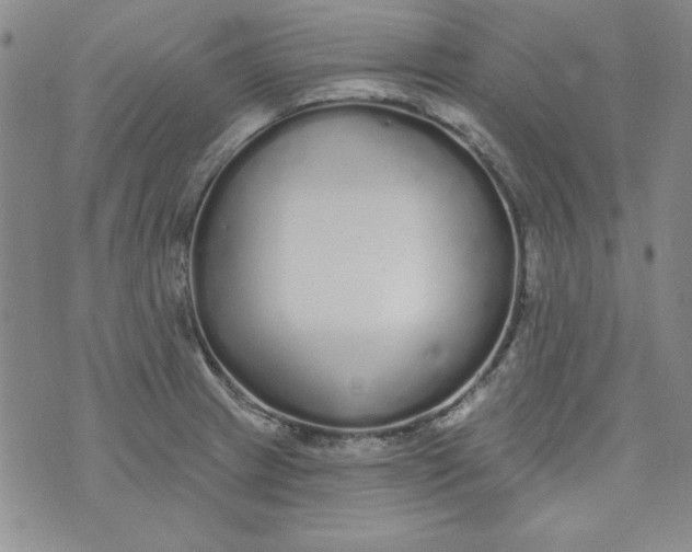 X0000074281233200609151844