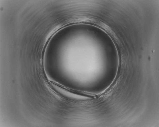 X0000074281234200609151844