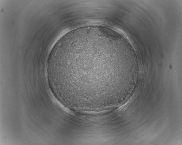 X0000074281235200609151844