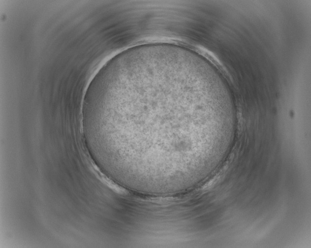 X0000074281236200609151844