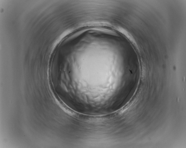 X0000074281237200609151844