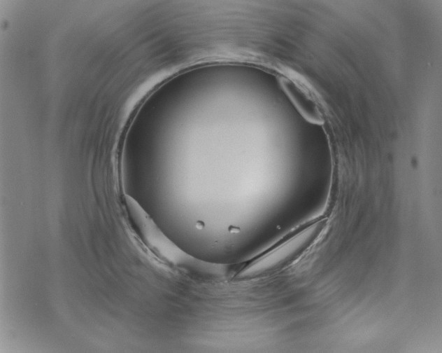 X0000074281238200609151844