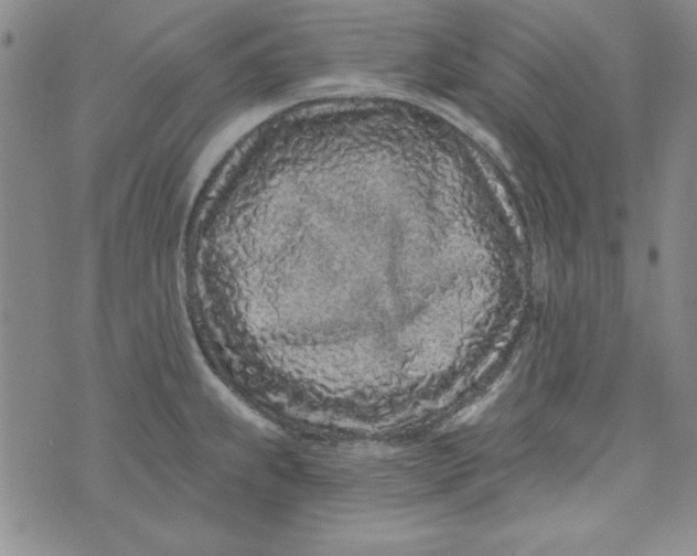 X0000074281239200609151844