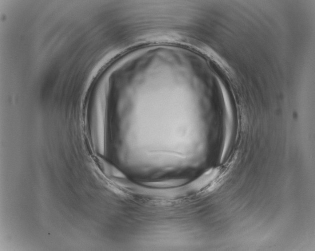 X0000074281240200609151844