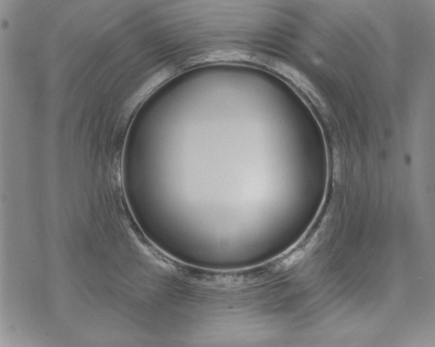 X0000074281241200609151844