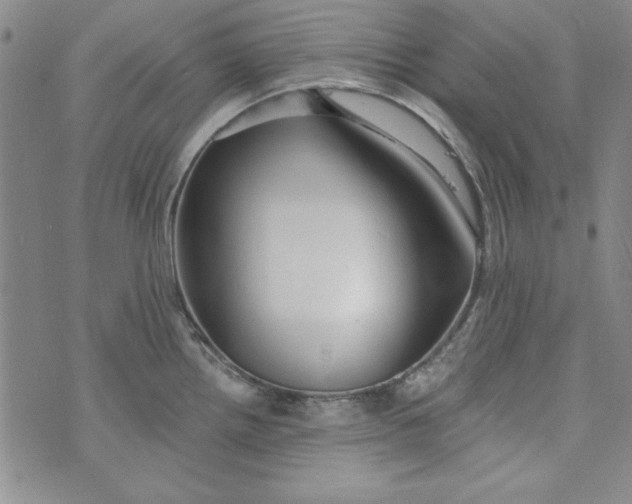 X0000074281242200609151844