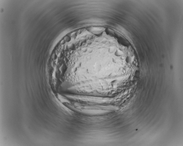 X0000074281243200609151844