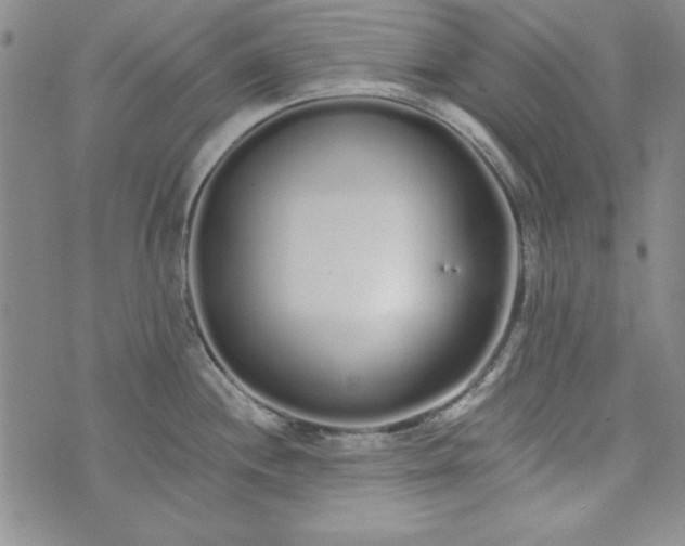 X0000074281244200609151844