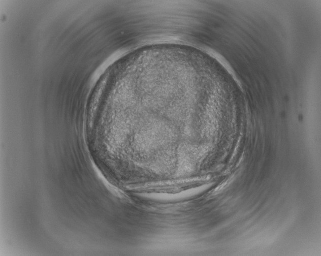 X0000074281245200609151844