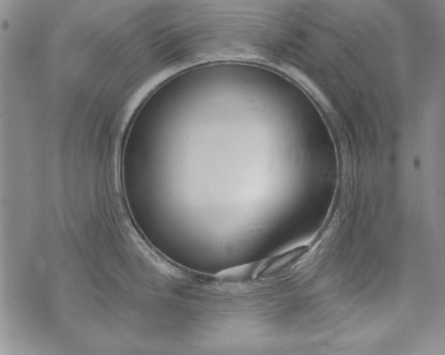 X0000074281246200609151844