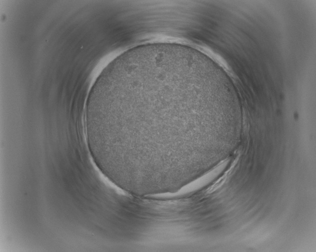 X0000074281247200609151844