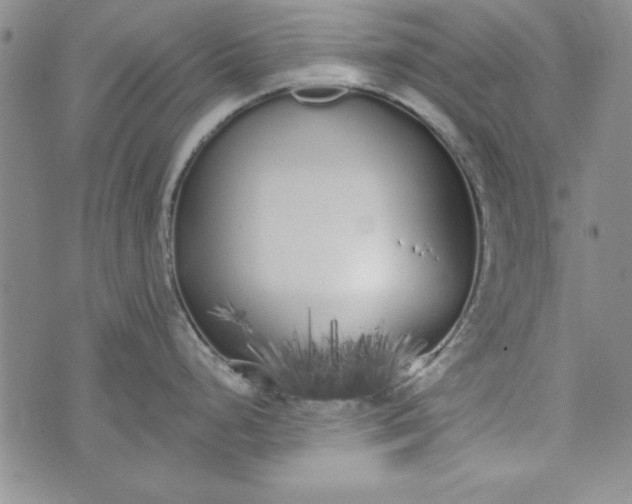 X0000074281248200609151844