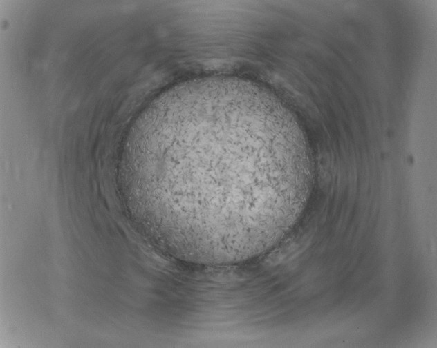 X0000074281249200609151843