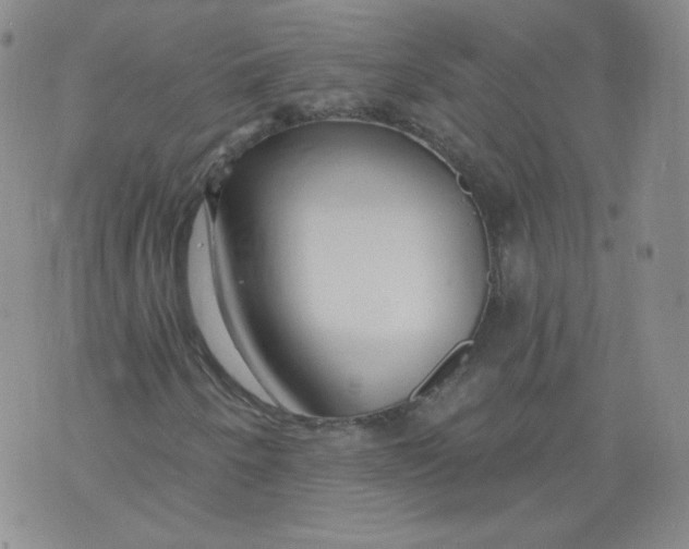 X0000074281250200609151843