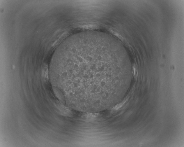 X0000074281251200609151843