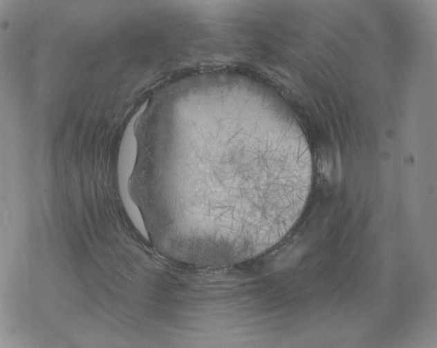 X0000074281252200609151843