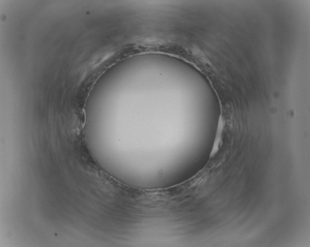 X0000074281253200609151843