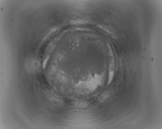 X0000074281254200609151843