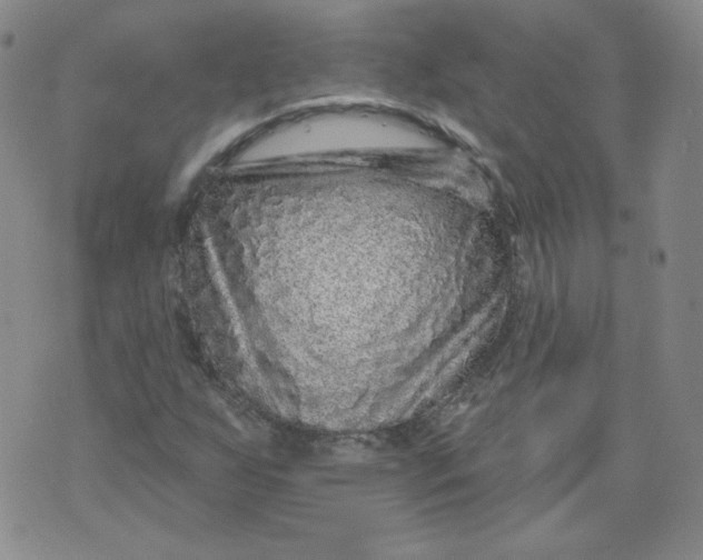 X0000074281255200609151843