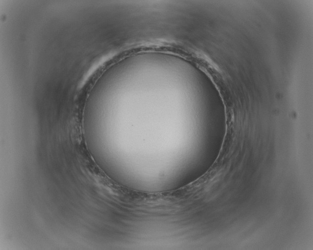 X0000074281256200609151843