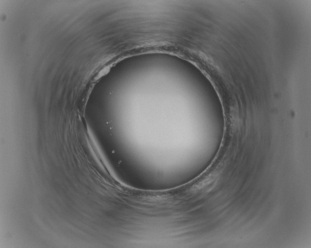 X0000074281257200609151843