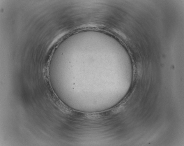 X0000074281258200609151843