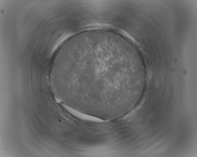 X0000074281259200609151843