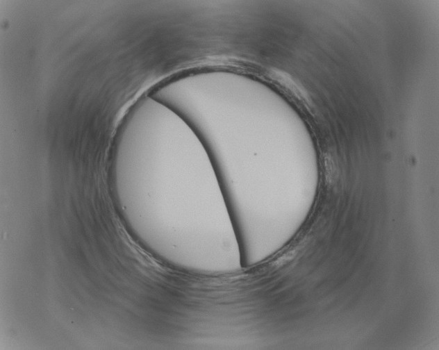 X0000074281260200609151843