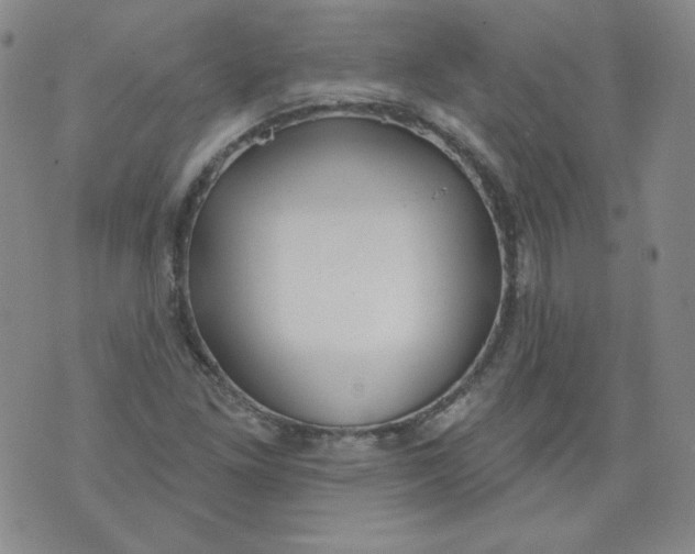 X0000074281261200609151843