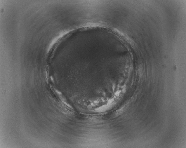 X0000074281262200609151843