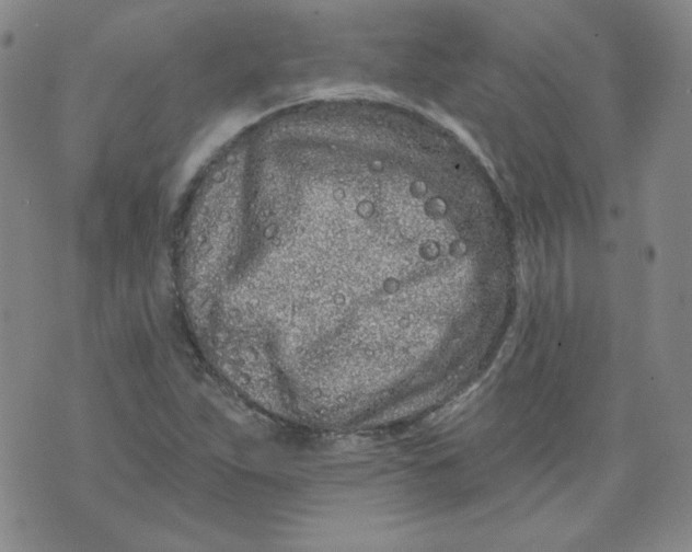 X0000074281263200609151843