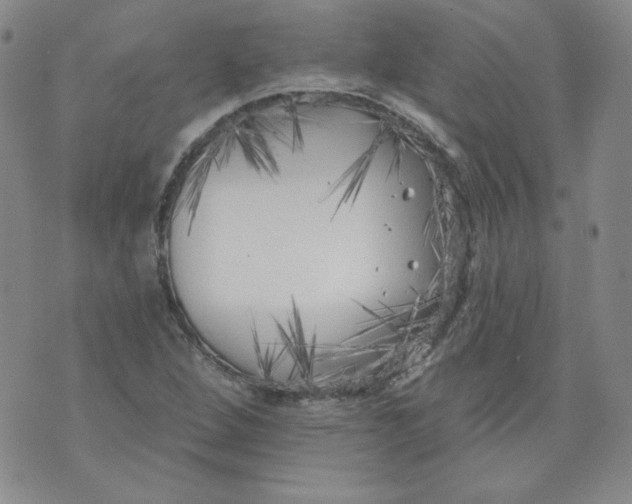 X0000074281264200609151843